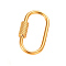 Stainless Steel Screw Clasps, Locking Carabiner, Oval, Golden, 26x14.5mm
