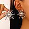 304 Stainless Steel Stud Earrings, Platinum, Sun, 51x51mm