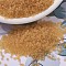 MIYUKI Delica Beads, Cylinder, Japanese Seed Beads, 11/0, (DB0742) Matte Transparent Light Topaz, 1.3x1.6mm, Hole: 0.8mm, about 20000pcs/bag, 100g/bag