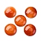 Natural Agate Cabochons, Dyed & Heated, Half Round/Dome, Dark Orange, 30x8~8.5mm
