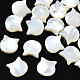 Perles de coquillage blanc naturel SSHEL-S258-99B-1