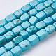 Natural Magnesite Beads Strands TURQ-K003-11C-1