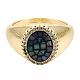 Natural Abalone Shell/Paua Shell Oval Ring with Clear Cubic Zirconia RJEW-N037-038-5