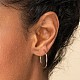 304 Stainless Steel Hoop Earrings for Women EJEW-X0015-02P-02-3