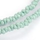 Frosted Glass Bead Strands GLAA-J063-B05-1