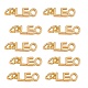 真鍮製ペンダント10個  丸カン付き  長持ちメッキ  星座/星座  ゴールドカラー  レオ  レオ：4x12x1.5mm  穴：3mm KK-SZ0004-36B-1