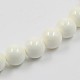 Shell normal de perles blanches de brins BSHE-E002-02-8mm-2