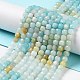 Natural Flower Amazonite Beads Strands G-J400-A08-03-2