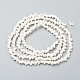 Chapelets de perles en coquille de spirale naturelle X-BSHE-I011-11C-2
