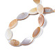 Eau douce naturelle de coquillage perles brins SHEL-Q024B-017-2