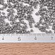 Perline miyuki delica SEED-JP0008-DB2367-2