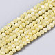 Natural Freshwater Shell Beads Strands X-BSHE-T009-01E-1