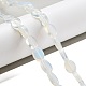 Opalite бисер пряди G-P559-B06-01-2