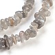 Chapelets de perles en labradorite naturelle  G-F575-10-2