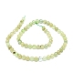 Chapelets de perles en préhnite naturelle G-O201A-06A-2