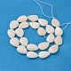Natural White Shell Beads Strands PBB263Y-1-2