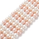Cuentas perlas de concha de perla BSHE-L017-21-1