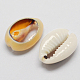 Perle naturali di conchiglia di ciprea BSHE-Q296-1-2