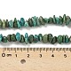 Нити окрашенных бусин из натурального магнезита G-M448-D01-01-6