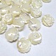 Perles en coquillage naturel SH159-2