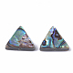 Abalone Shell/Paua Shell Beads SSHEL-T008-16-2