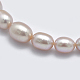 Natural Cultured Freshwater PearlBeads Strands PEAR-K003-21B-3