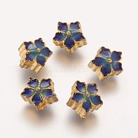 Бисера эмали сплава PALLOY-P131-05G