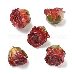 Colgantes de resina epoxi de latón, colgantes interiores de flores secas, encanto de flor de rosa, con lazo dorado, rojo, 19~27x21~27x19~28.5mm, agujero: 1.6 mm