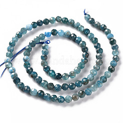 Perline apatite naturale fili&nbsp;X-G-S362-110C