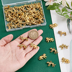 60 pz 3 stili pendenti in lega di stile tibetano&nbsp;TIBEP-GA0001-08