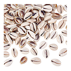 100 шт. бусины из натуральной ракушки каури&nbsp;BSHE-PH0001-64