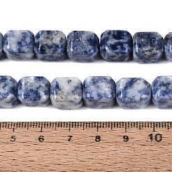 Natürliche blaue Fleck Jaspis Perlen Stränge&nbsp;G-Q608-10G