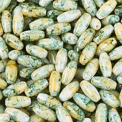 Выпечка краска стеклянные бусины SEED-N008-06H