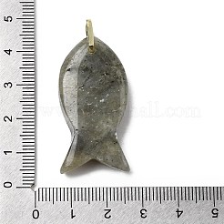 Природные подвески лабрадорита&nbsp;KK-D021-05H-G