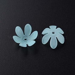 Прозрачные акриловые бусины&nbsp;MACR-S373-47-D07