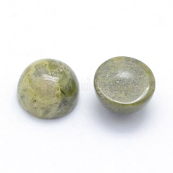 Cabochons en unakite naturelles&nbsp;X-G-P393-R31-6mm