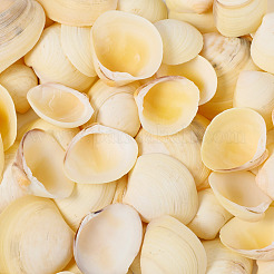 Естественная оболочка FIND-TAC0026-10B