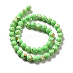 Fili di perle sintetiche turchesi e conchiglie montate&nbsp;G-D482-01D-02