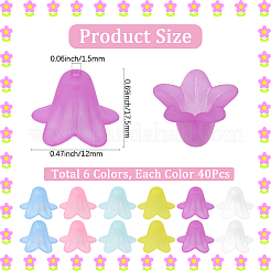 240 pz 6 colori perline acriliche trasparenti&nbsp;FACR-SC0001-04