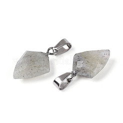 Природные подвески лабрадорита&nbsp;G-N349-18P-04