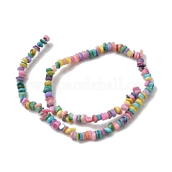 Бусины из натуральных пресноводных ракушек SHEL-B003-01I