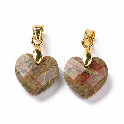 Природные подвески Unakite&nbsp;G-C023-07E