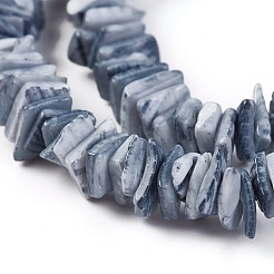 Нити бусин из натуральных ракушек X-BSHE-I008-01