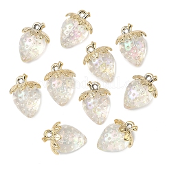 10шт прозрачные акриловые подвески&nbsp;MACR-FS0002-08A