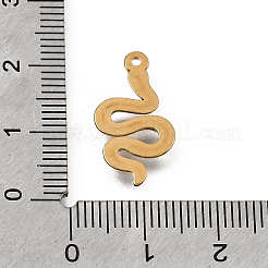 Ciondoli in acciaio inox 304&nbsp;STAS-N108-103G