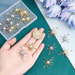 Подвески из сплава 20шт 2 цветов&nbsp;FIND-FH0003-49