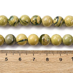 Нити бусин из натурального камня вердит&nbsp;G-C242-03-8mm