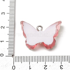 Transparente Harzanhänger&nbsp;RE-CBA5B90-03B