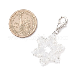 Стеклянные подвески в виде снежинок HJEW-MZ00340