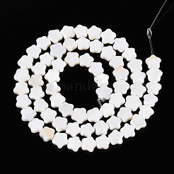 Нити бусин из натуральных пресноводных ракушек&nbsp;SHEL-N027-02-01